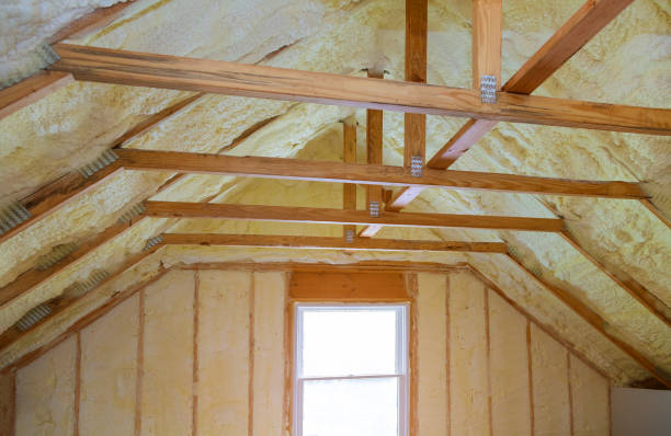 Best Commercial Insulation in Fern Acres, HI