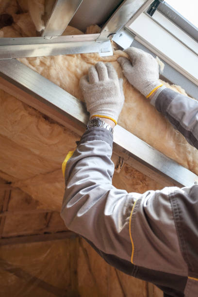 Best Insulation Maintenance and Repair in Fern Acres, HI