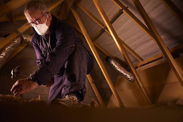 Best Types of Insulation in Fern Acres, HI